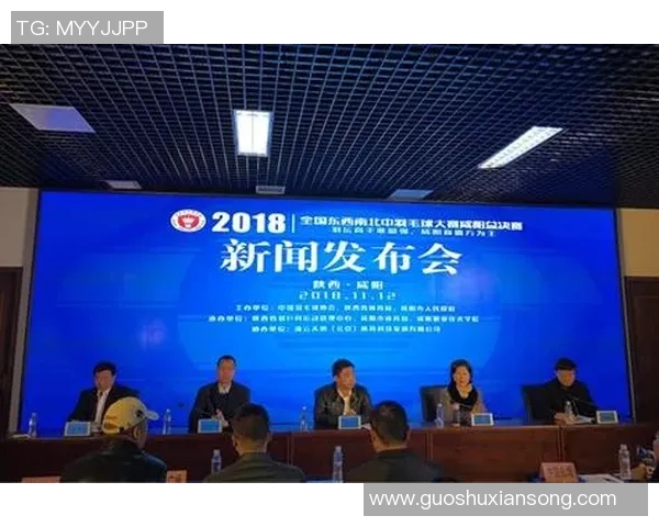 羽毛球赛事门票销售情况分析及未来市场发展趋势探讨